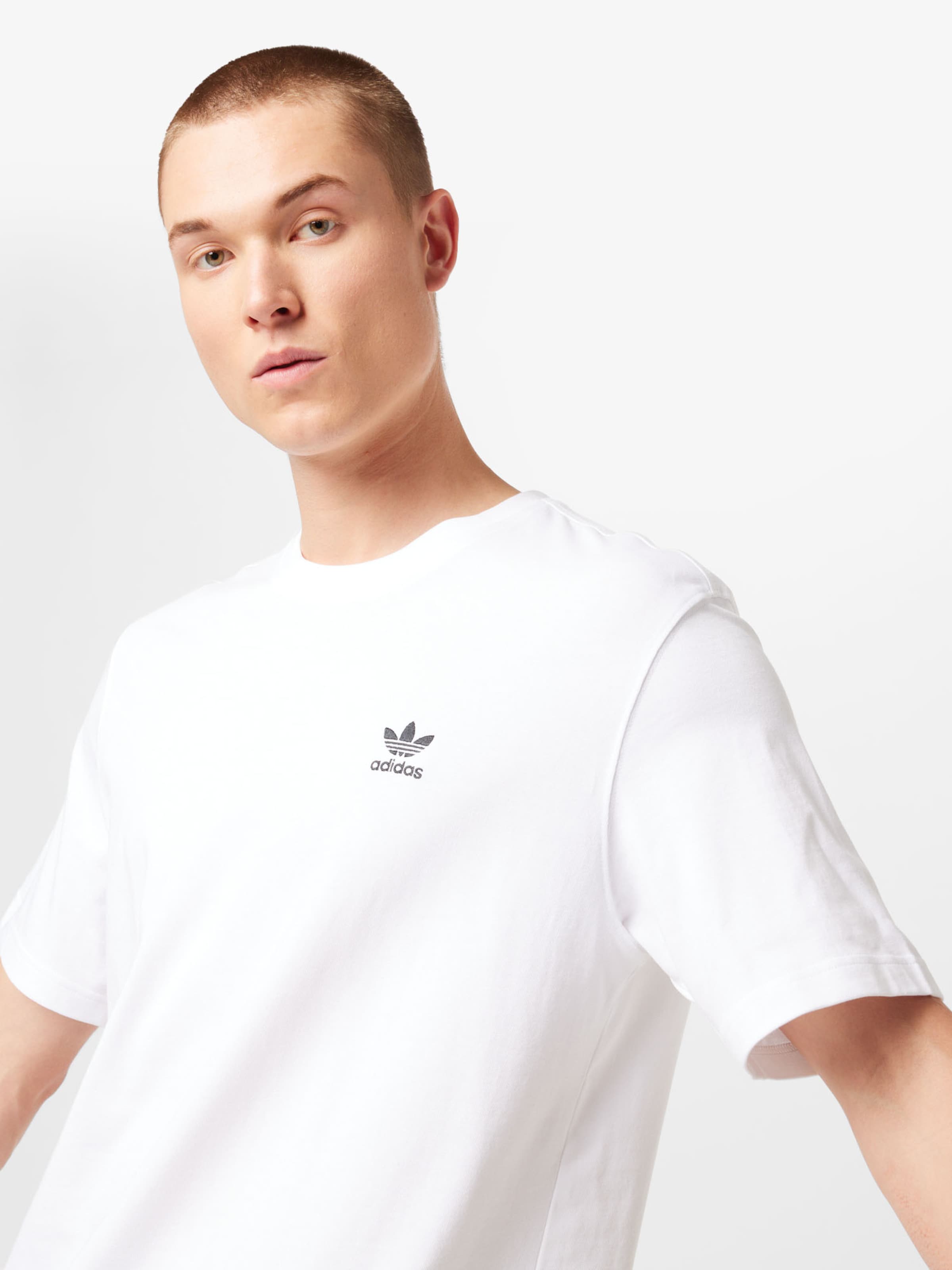 ADIDAS ORIGINALS Shirt 'Adicolor Classics Trefoil' in White