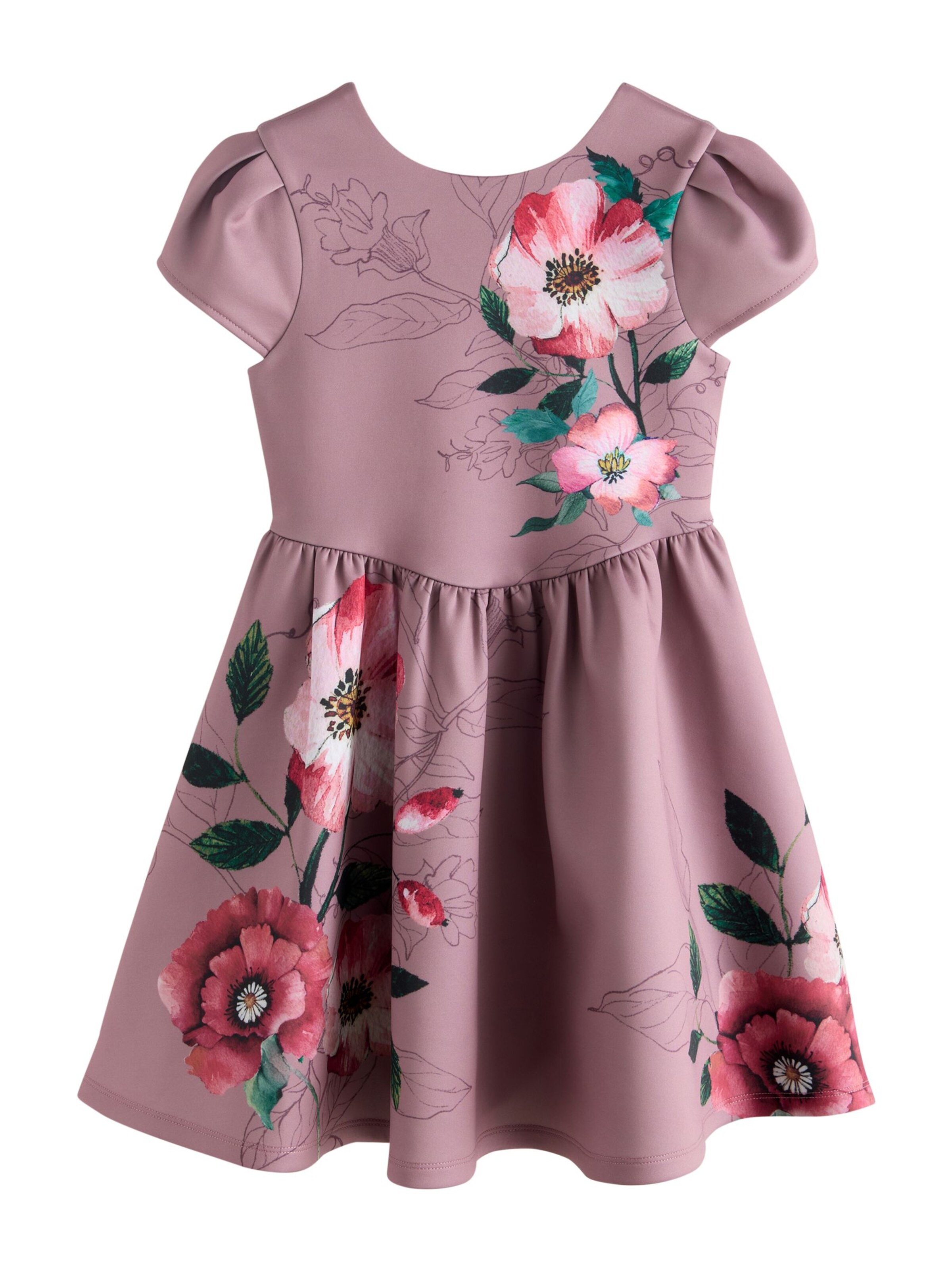 Next Kleid in Braun: Vorderseite