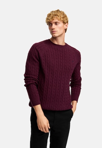 Kronstadt Sweater ' Flynn' in Red