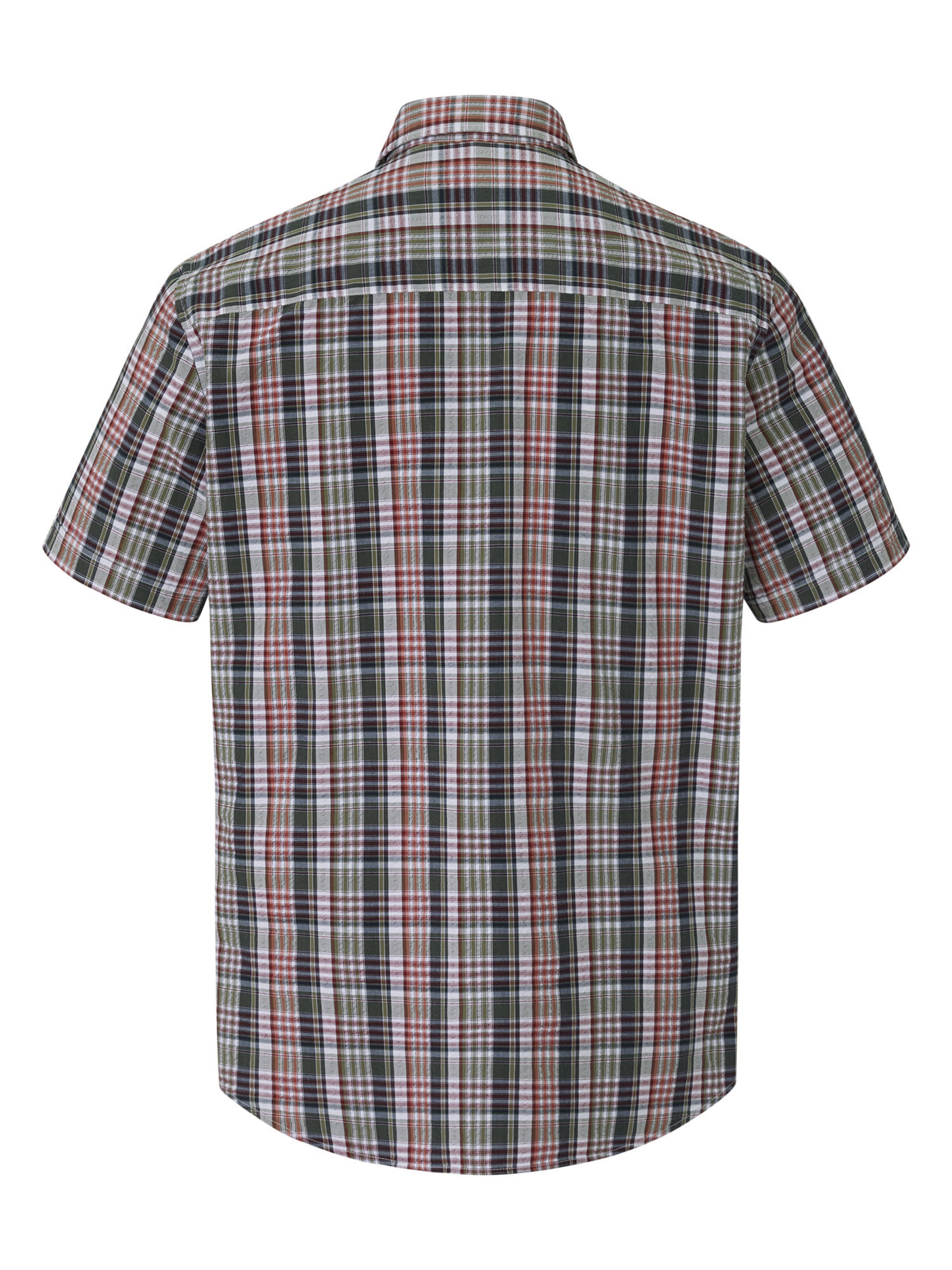 PADDOCKS Regular fit Button Up Shirt in Mixed colors