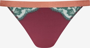 Slip 'Poetry Vogue' Mey en violet : devant