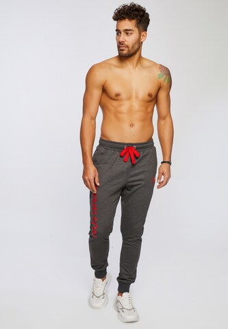 Leif Nelson Slim fit Pants 'LN-8295' in Grey