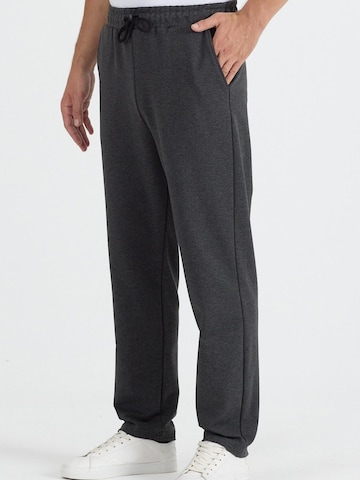 Maxx Free Regular Workout Pants in Grey