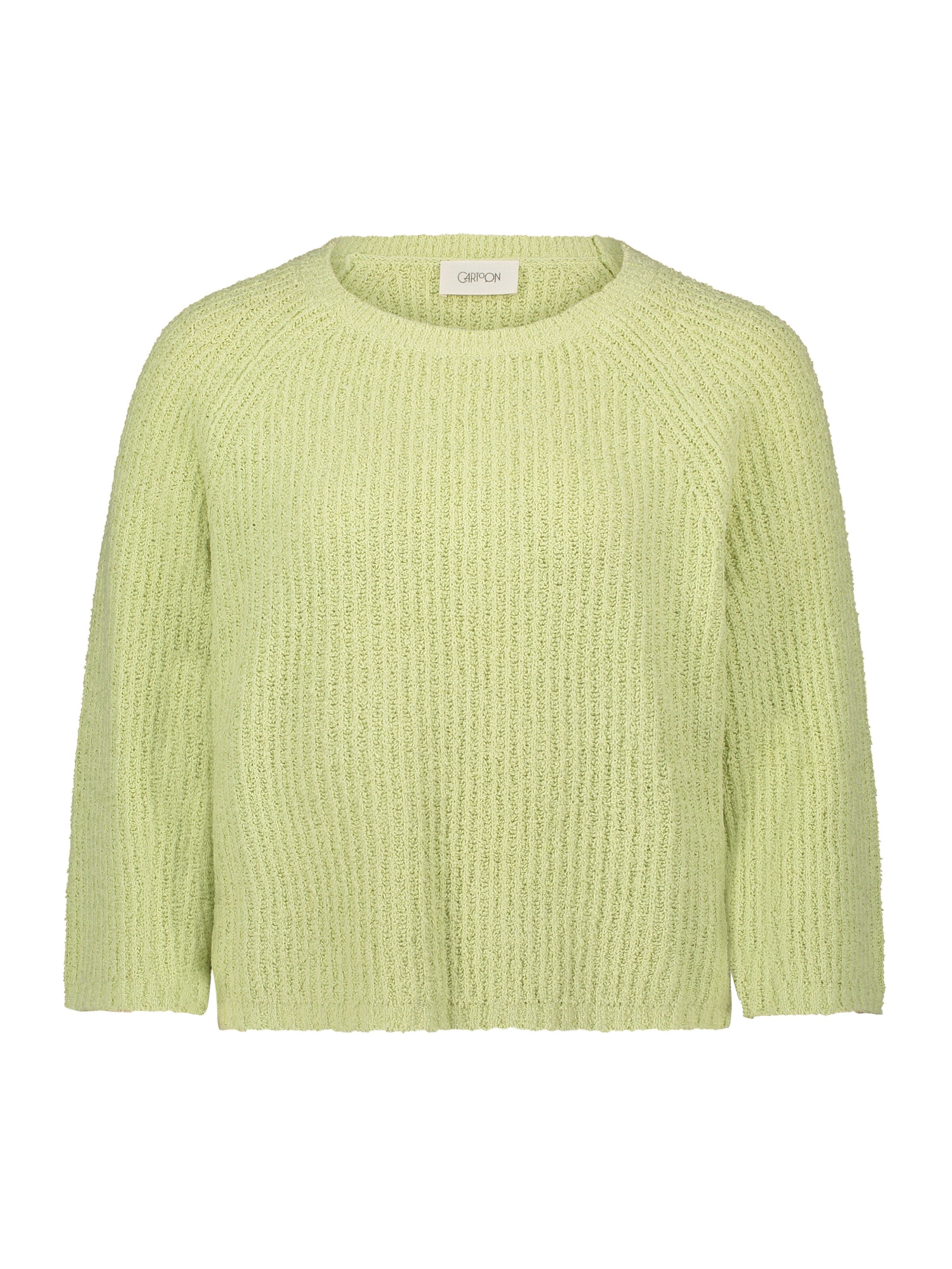 Cartoon Trui in Groen: voorkant