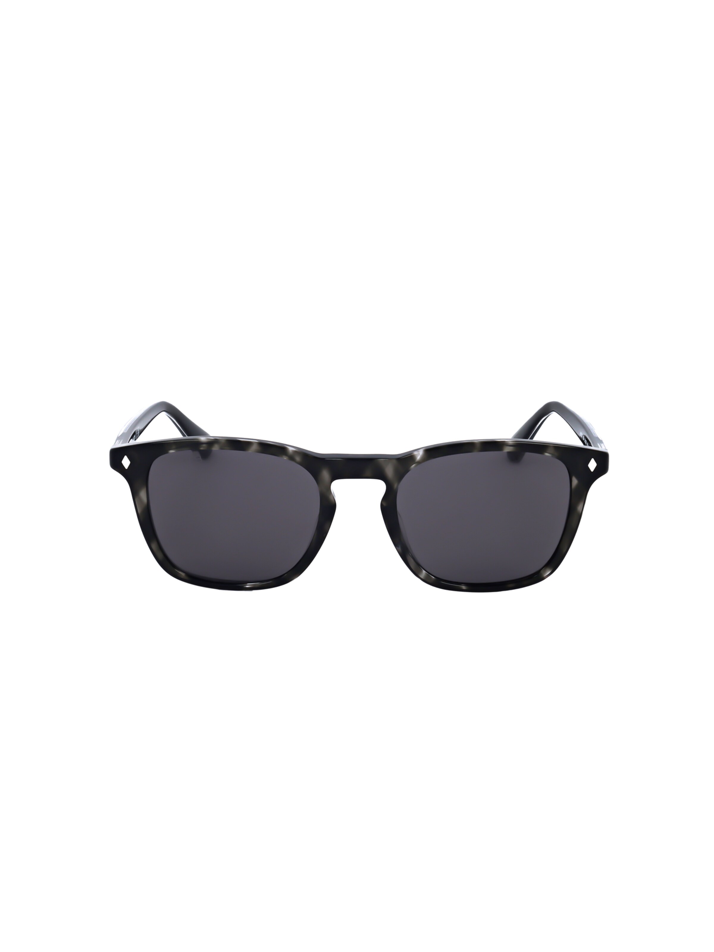 Occhiali da sole 'WE0327' di Web Eyewear in grigio: frontale