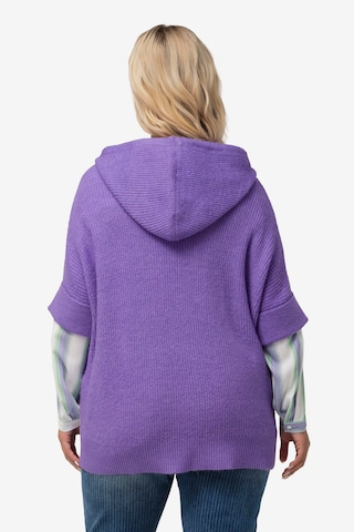 Ulla Popken Sweater in Purple