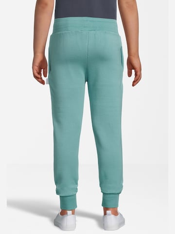 New Life Tapered Broek in Blauw