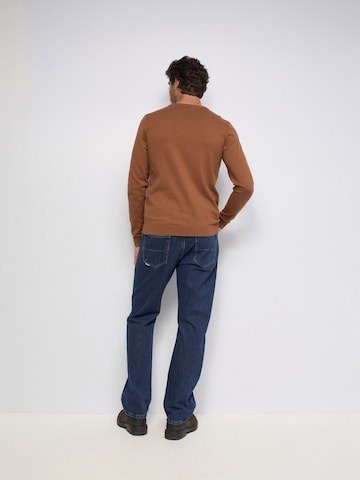 Salsa Jeans Pullover in Braun
