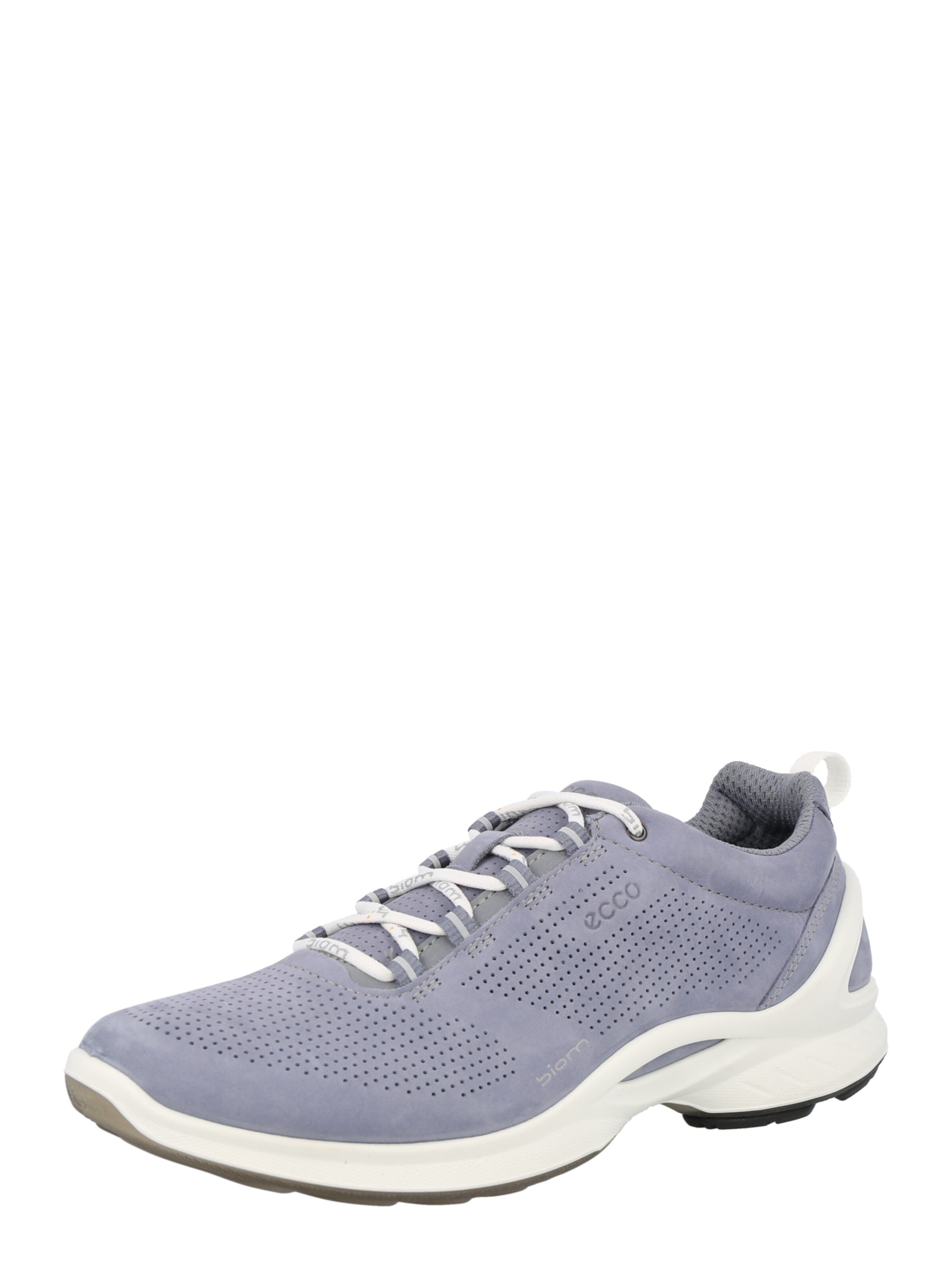 ecco nl