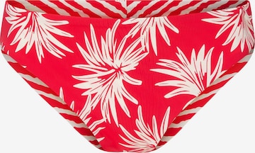 Bas de bikini LingaDore en rouge : devant