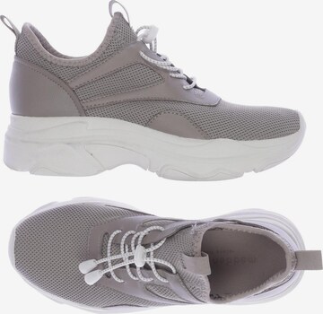 STEVE MADDEN Sneaker 37 in Grau: predná strana