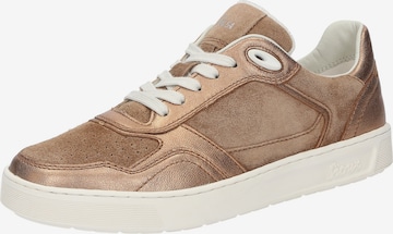 Baskets basses 'Maites' SIOUX en marron : devant