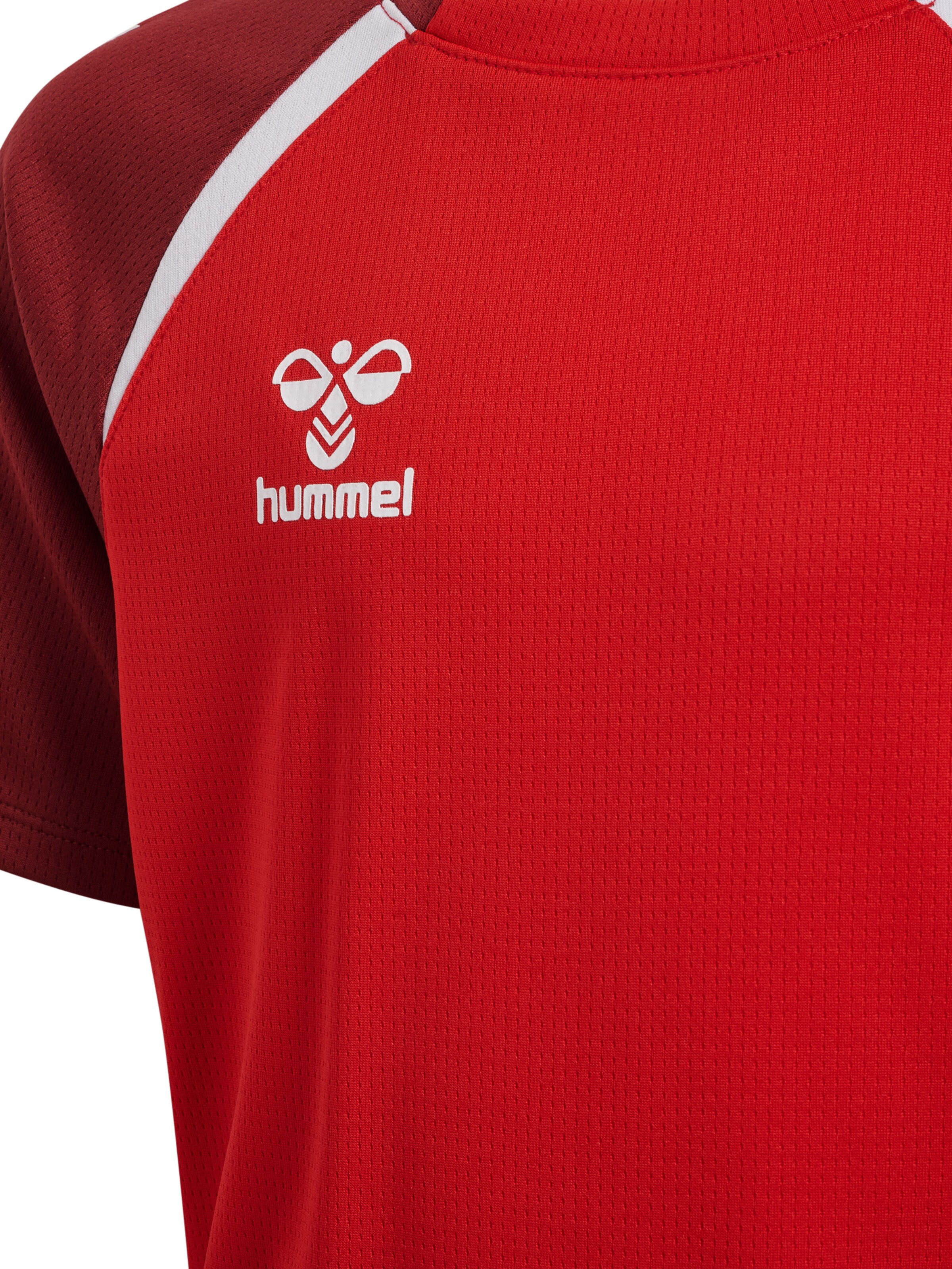 Hummel Functioneel shirt 'Lead 2.0' in Rood