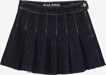 mėlyna WE Fashion Sijonas: priekis