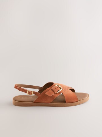 Next Sandals in Brown