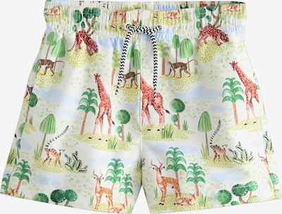 Next Uimashortsit 'Cath Kidston' värissä karamelli / kastanjanruskea / vihreä / pastellinvihreä, Tuotenäkymä