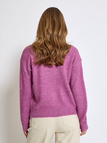 DESIRES Trui 'Gea' in Roze