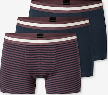 Sous-vêtements ' 95/5 Multi ' SCHIESSER en bleu : devant