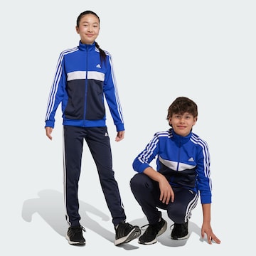 ADIDAS PERFORMANCE - Fato de treino 'Essentials Tiberio' em azul