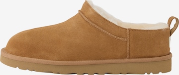 UGG Боти 'Classic' в кафяво: отпред
