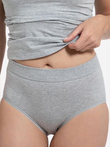 SPEIDEL Panty 'bio.cotton Plus' in Grey