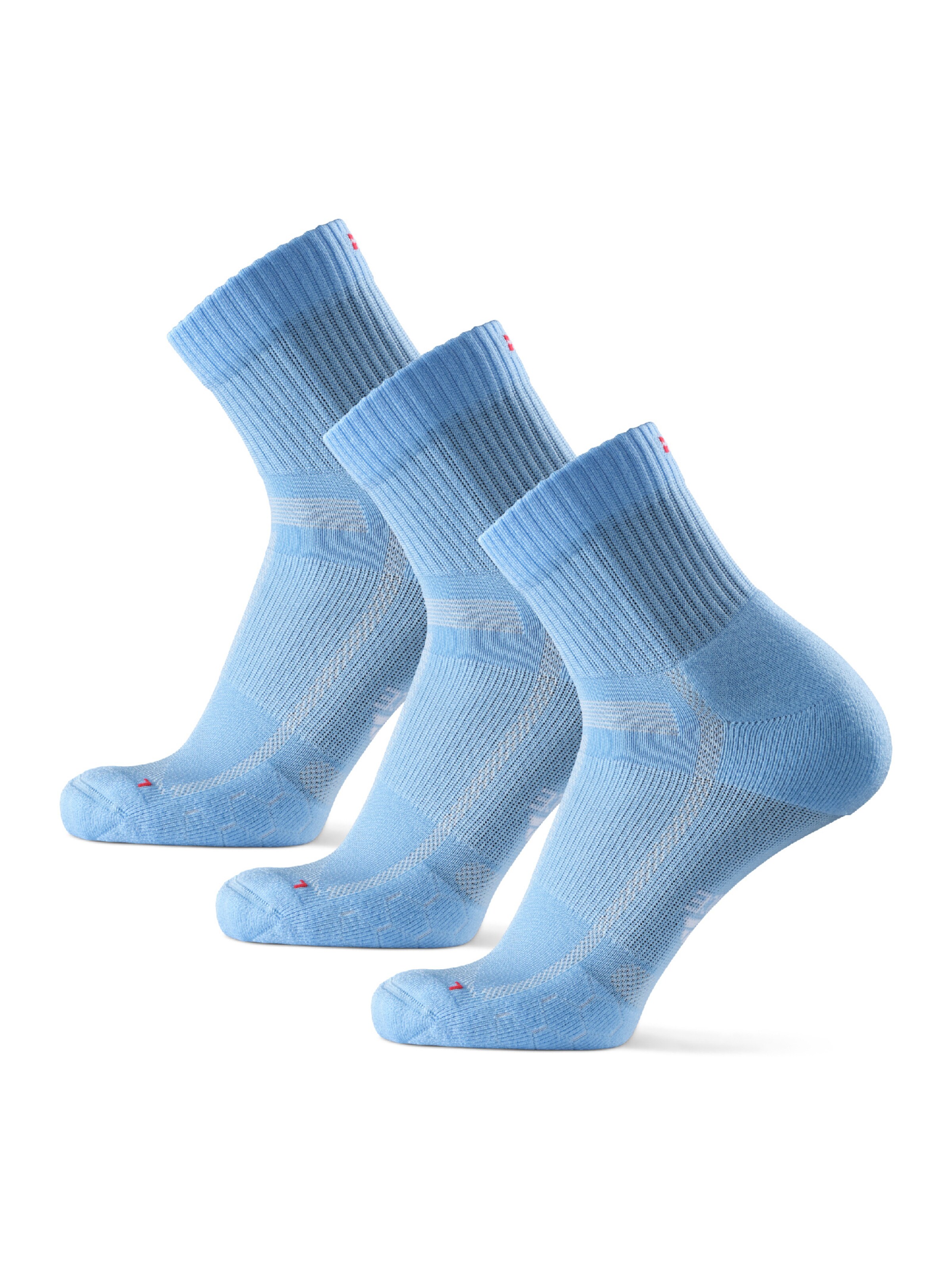DANISH ENDURANCE Sports socks 'Long Distance' in Blue