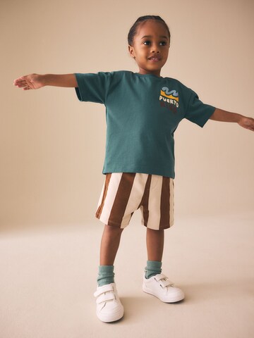 Next Skinny Shorts in Braun