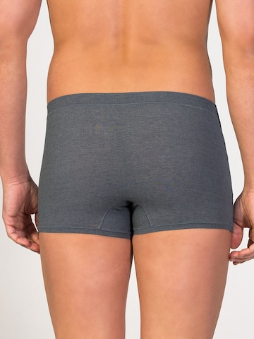 zd ZERO DEFECTS Boxer shorts 'Ikaria Trunk' in Grey
