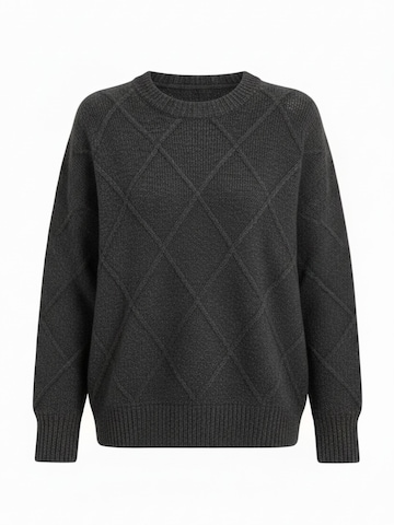 WEARABLE STORIES - Jersey 'Manou' en gris: frente