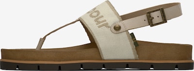 Barbour Varvastossut 'Lumley' värissä beige / tummabeige / munankuori, Tuotenäkymä