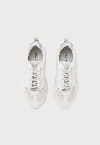 Baskets basses 'Premio-E' STEVE MADDEN en blanc
