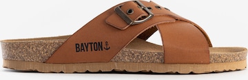 Bayton Mules 'Sarria' in Brown