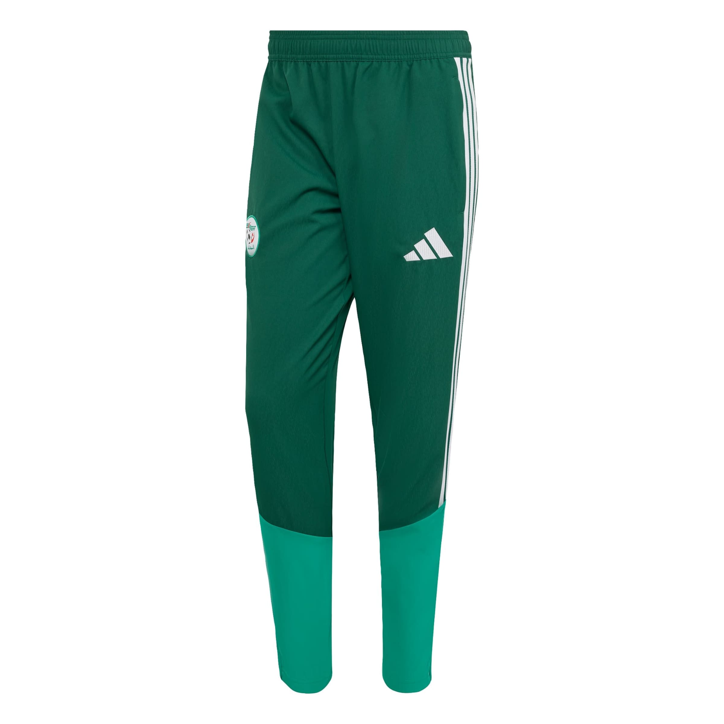 regular Pantaloni sportivi 'Algerien 26' di ADIDAS PERFORMANCE in verde: frontale