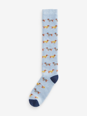 Next Socks in Blue