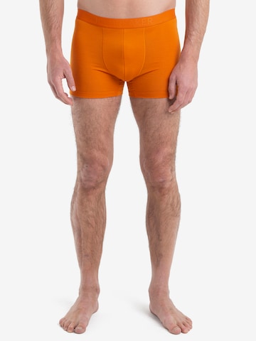 ICEBREAKER Boxer shorts 'Anatomica' in Orange: front