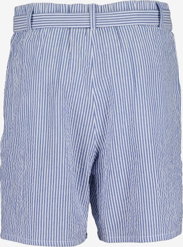 BLUE SEVEN Regular Pleat-Front Pants in Blue