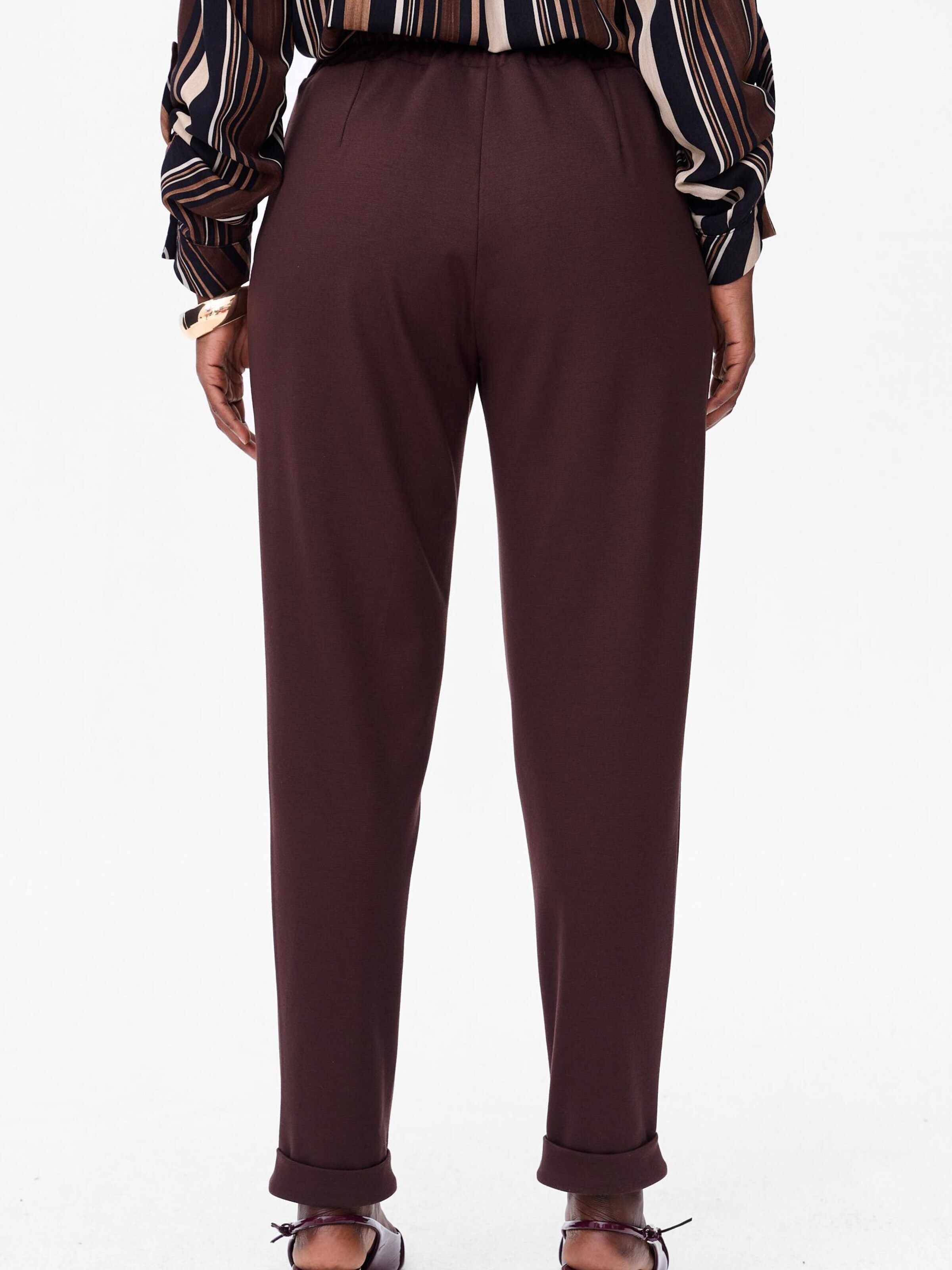 Blue Shadow Regular Pants in Brown