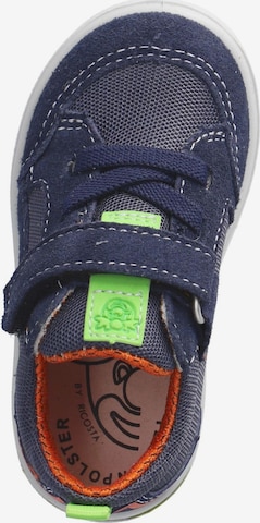 Pepino Sneaker in Blau