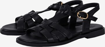 Apple of Eden Sandalen met riem in Zwart