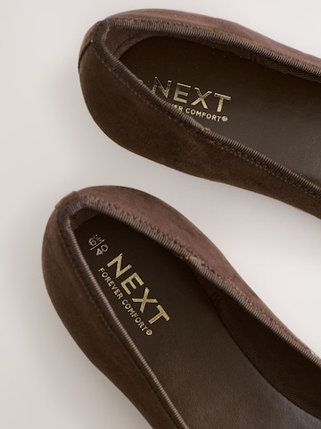 Next Ballet Flats in Brown