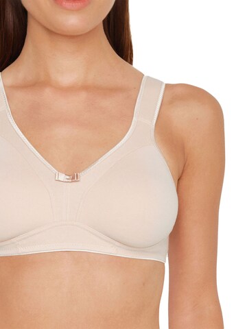 SUSA BH 'Basics' in Braun