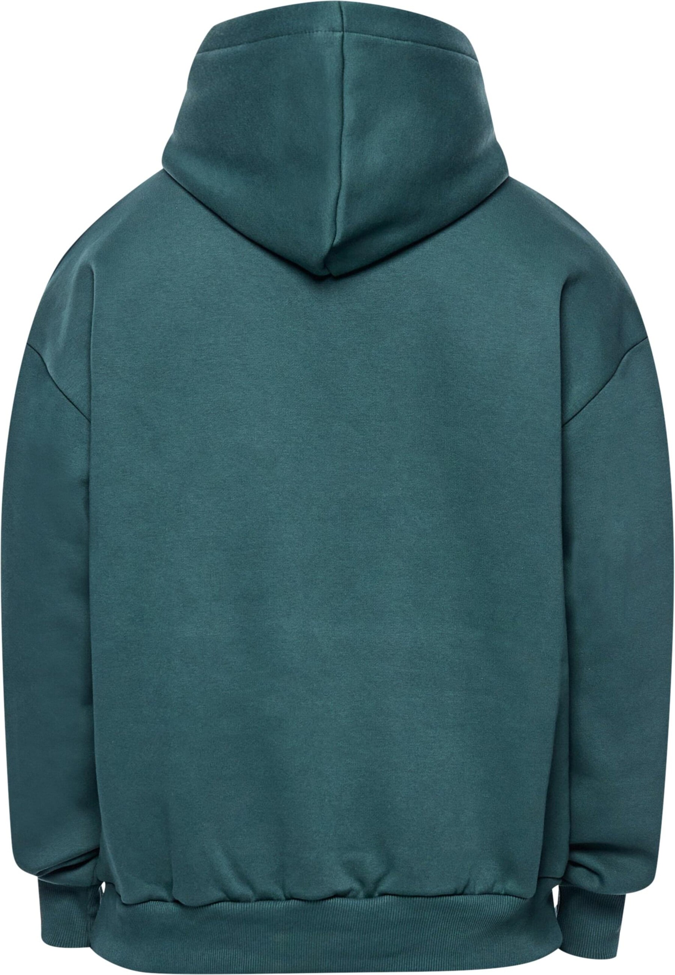 Dropsize Sweatshirt 'Embo' in Green