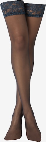 CALZEDONIA Feinstrümpfe in Blau: Vorderseite