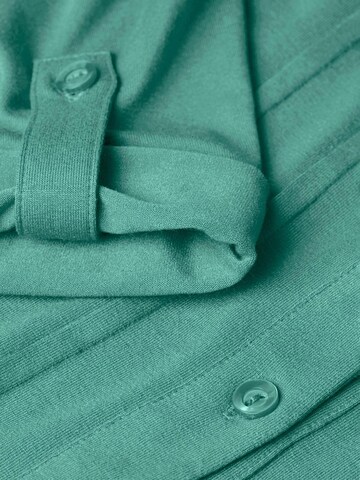 Goldner Shirt in Green