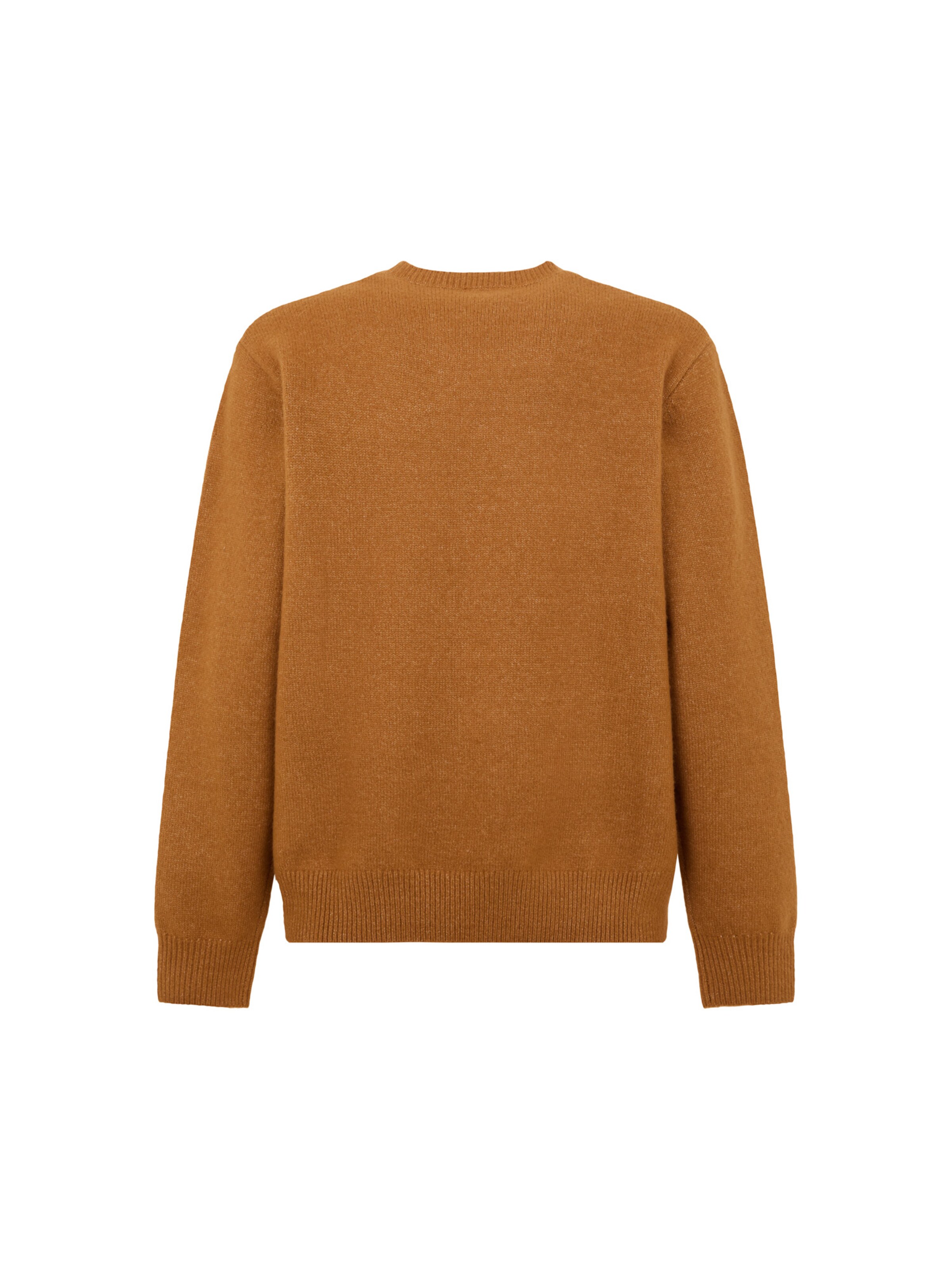 DICKIES Pulover 'Ruston' | rjava barva