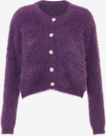 caneva Cardigan i lilla: forside