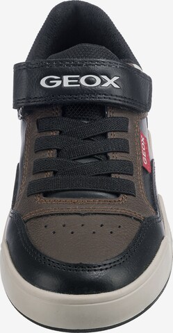 GEOX Sneaker 'Perth' in Braun