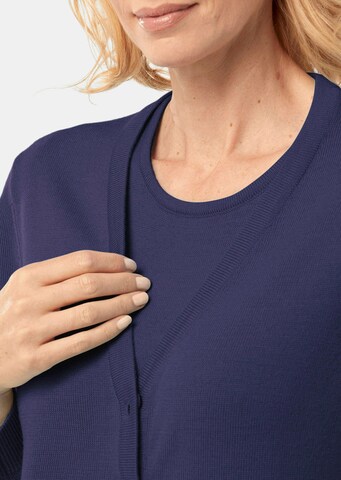 Goldner Sweater in Blue