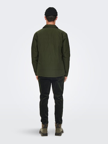 Only & Sons Regular Pants 'Linus Life' in Green