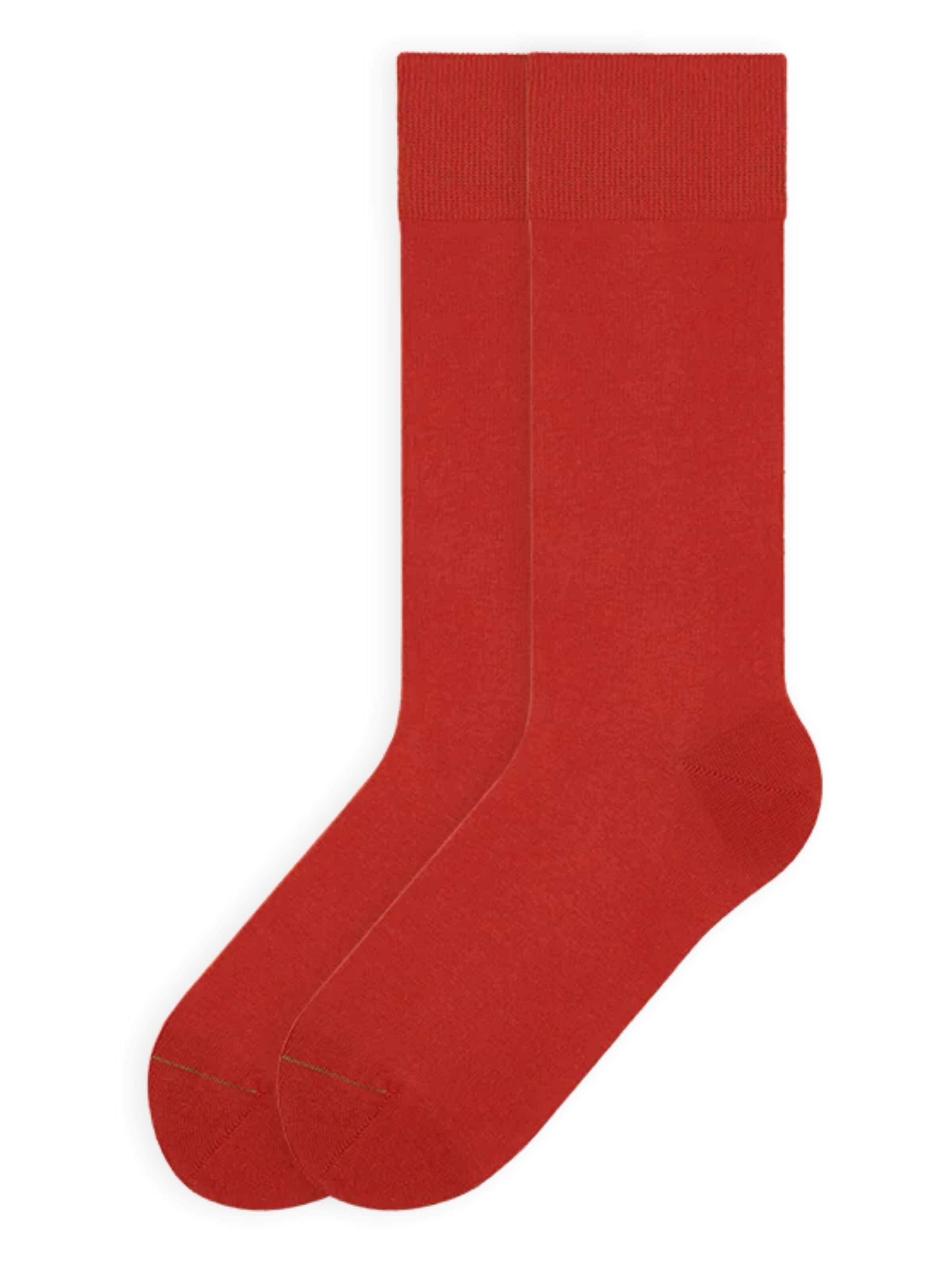 Von Jungfeld Socks 'SIGNATURE' in Red: front